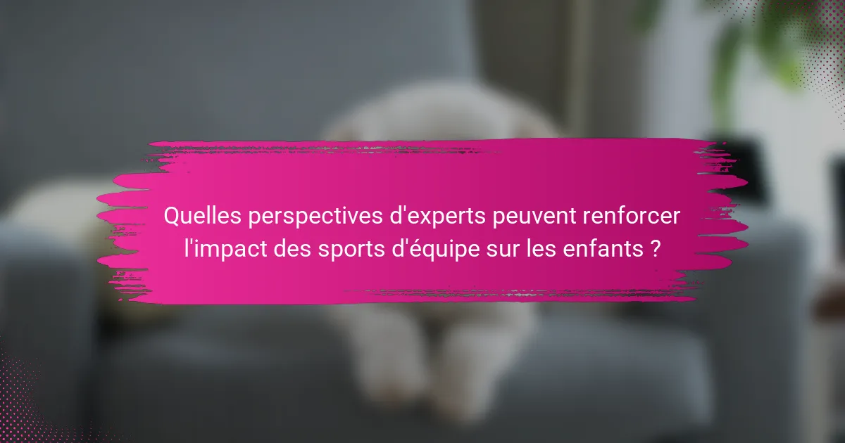 Quelles perspectives d'experts peuvent renforcer l'impact des sports d'équipe sur les enfants ?