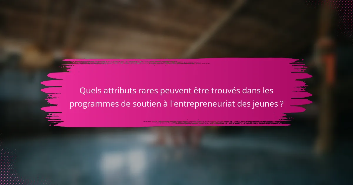 Quels attributs rares peuvent être trouvés dans les programmes de soutien à l'entrepreneuriat des jeunes ?